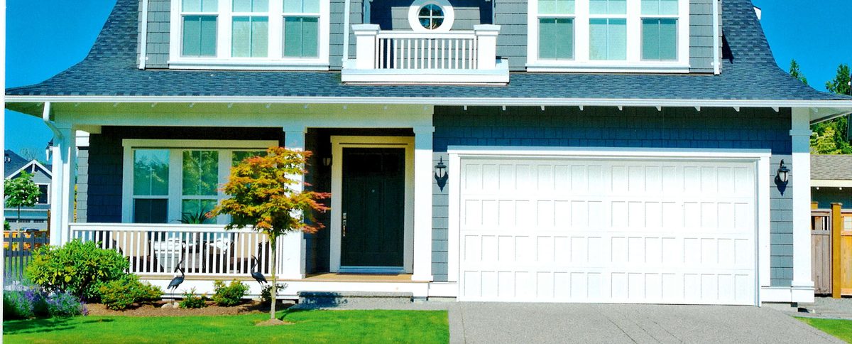 doorLink 420/421 garage door in White